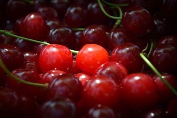Sweet red cherry
