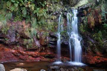 White stream of water flows as waterfall over the overgrown, colorful face of the rock, covered by lush tropical vegetation, and splashes into a pond. The rock face is wetted by several trickles.
