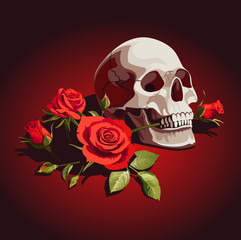 Illustration with skull and red roses on a dark background