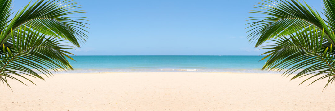 Fototapeta Panorama słonecznej plaży tropikalnej z miejsca kopiowania między palmami