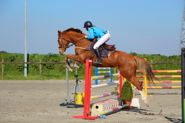 Saut d'obstacle lors d'un concours hippique