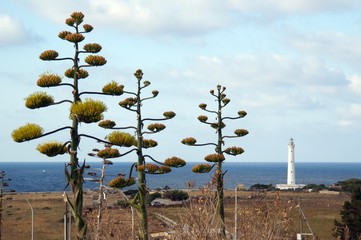 Lighthouse in San Vito Lo Capo