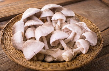 Straw mushrooms