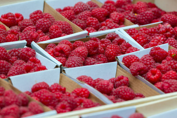 Frisch gepflückte Himbeeren auf einem Wochenmarkt