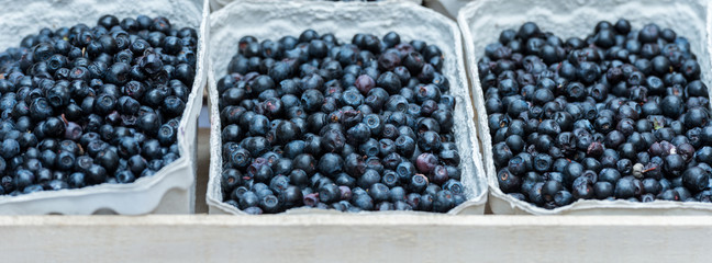 Schalen mit Heidelbeeren Blaubeeren (Vaccinium myrtillus) auf einem Wochenmarkt