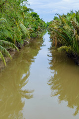 Small canal in Mekong Delta.