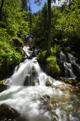 Fototapeta na wymiar Wasserfall im Nationalpark