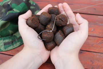 man holding brown pellet on hands, bait, lure for fishing and tool grat for carp