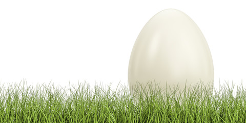 Egg on the green grass, eco concept. 3D rendering