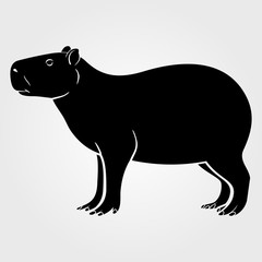 Capybara icon isolated on white background.