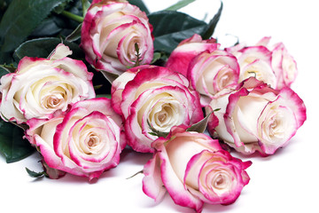 bouquet of roses on a white background