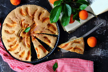 домашний абрикосовый пирог в форме для запекания со свежими абрикосами