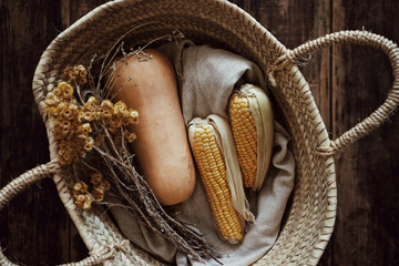 Top view on fresh healthy corn and pumpkin laying in straw rustic braided basket with linen textile and dried yellow flowers on dark wooden table background. Horizontal atmospheric shot.