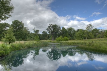 Thorpe Perrow Lake & Grounds