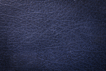 Blue leather texture