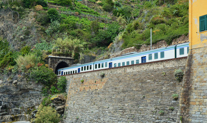 The regional train enters the tunnel dug into the rock of the mountain of coastal Ligure, Vernazza, Cinque Terre, Italy