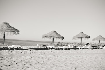 Black and white image of sunny beach umbrella idyllic mood beach relaxation seascape clear sky coastline.