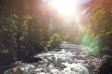 Fluss im Wald im Sonnenschein - Yosemite Nationalpark  