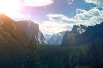 Wald in einem Tal aus Bergen im Sonnenlicht - Yosemite Nationalpark  