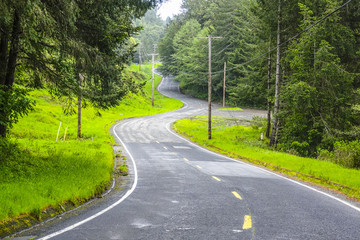 Fototapeta premium Winding Road through the woods of California