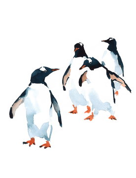 Penguins Watercolor Birds Antarctic Illustration isolated on white background