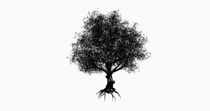 4k a lonely tree & root silhouette swaying in wind.	