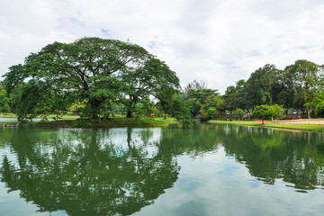Permaisuri Lake Garden is one of the famous park in Cheras, there is a pathway for people to jogging and exercise and it just along the lake. It also known as Taman Tasik Permaisuri.