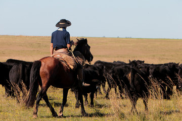 Fazenda de gado © Cesar Machado