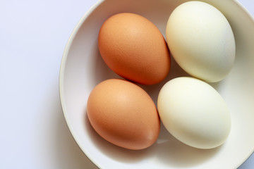 egg