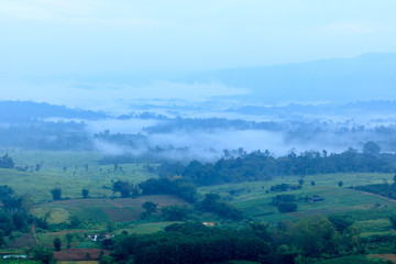 Fototapeta na wymiar Morning fog in the mountains