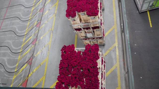 1152_Over_the_top_view_of_the_moving_flower_carts.mov