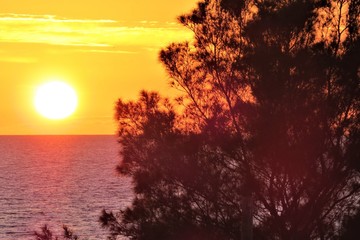 Fototapeta na wymiar Yellow Sunset over Gulf of Mexico, Clearwater Florida. USA