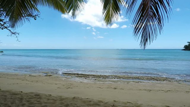 tropical beach playa bonita in the dominican republic
