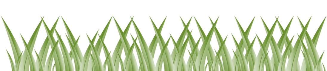 Wiese: grüne Halme auf weiß.