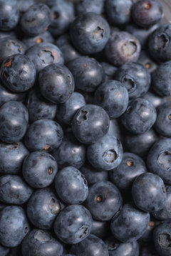 Blueberry background. Ripe and juicy fresh picked blueberries closeup