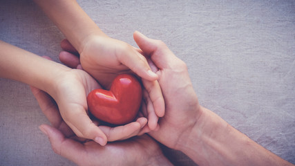 adult and child hands holding red heart, health care love and family concept, csr social...