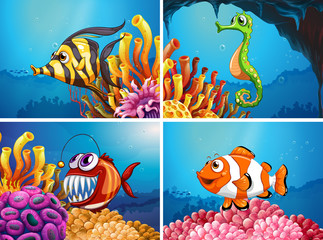 Naklejka na ściany i meble Sea animals under the sea