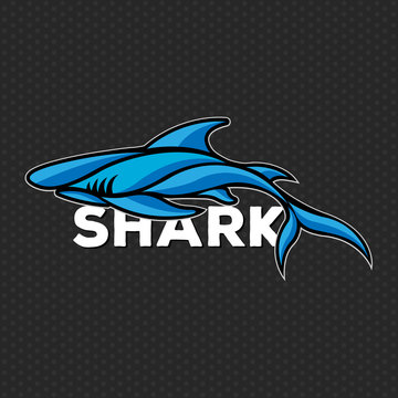 Shark logo vector Vector illustration