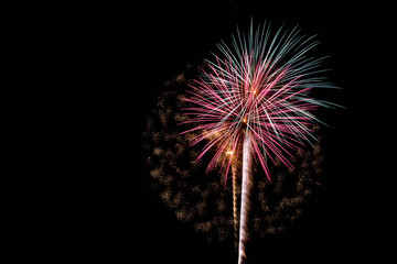 Pink and Green Fireworks
