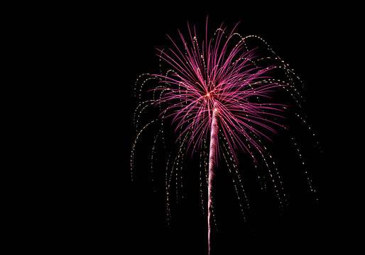 Pink Fireworks
