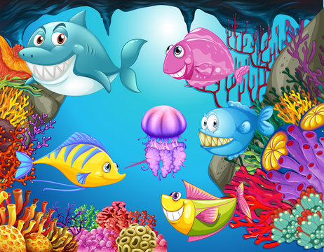 Many sea animals in the ocean