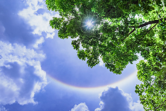 Sun halo with cloud in the blue sky.