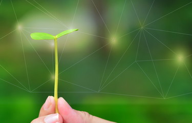 human hand with small nature plant green polygon line background