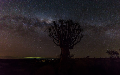Milky way with the Quiver tree forest Namibia