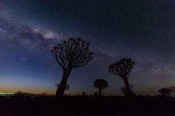 Milky way with the Quiver tree forest Namibia
