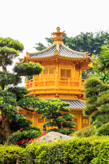 Fototapeta premium Golden pagoda of Nan lian garden at Chi Lin Nunnery in Hong Kong