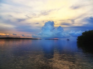 Naklejka na ściany i meble sunset and mangroves in the Florida Keys