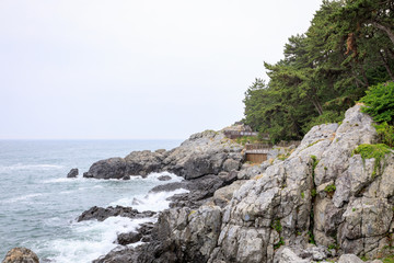 Dongbaekseom(Island of Camellias) coast walkway in Busan, South Korea - tour destination