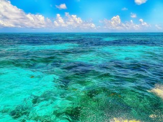crystal clear ocean water in the Florida Keys
