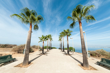 palma de mallorca 